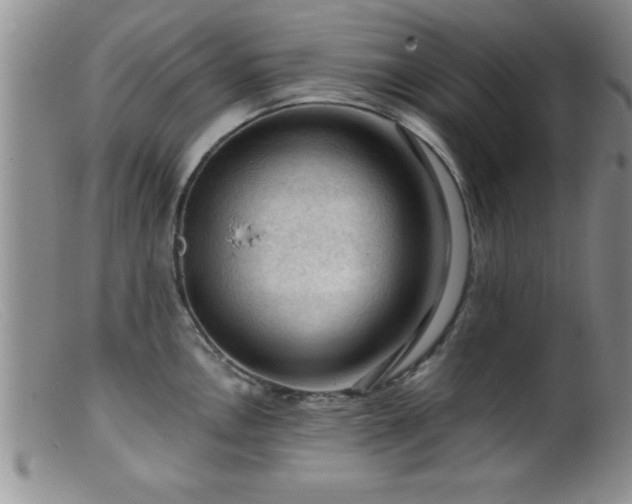 X0000099451146200805161016