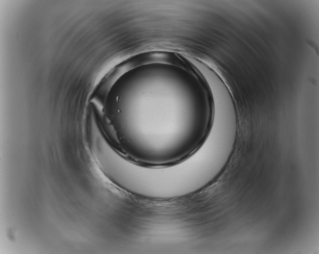 X0000099451147200805161016