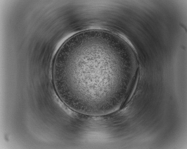 X0000099451148200805161016