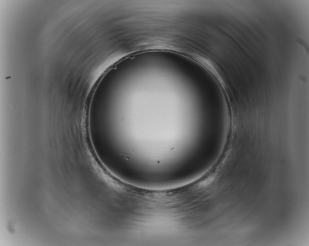 X0000099451149200805161016