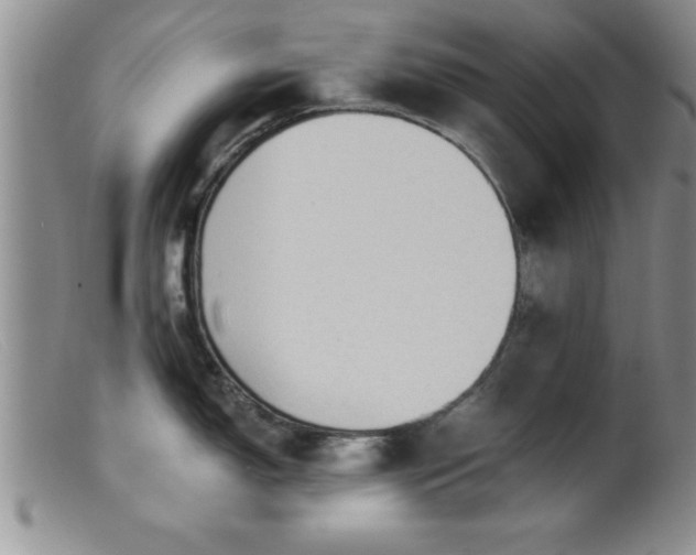 X0000099451150200805161016