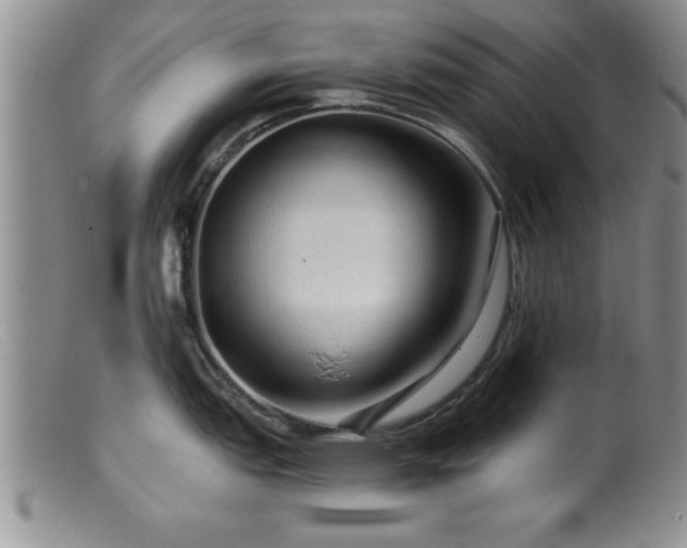 X0000099451151200805161016