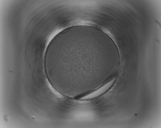 X0000099451152200805161016