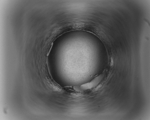 X0000099451153200805161015