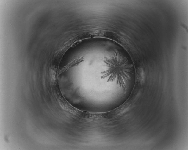 X0000099451154200805161015