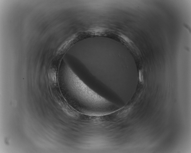 X0000099451155200805161015