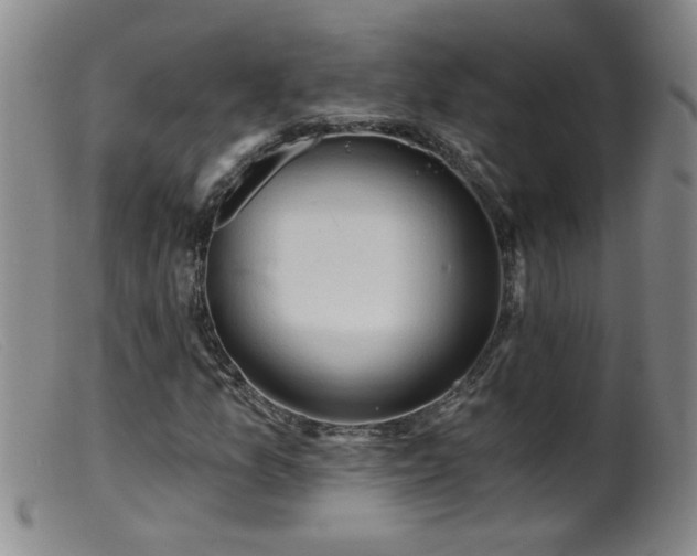 X0000099451157200805161015