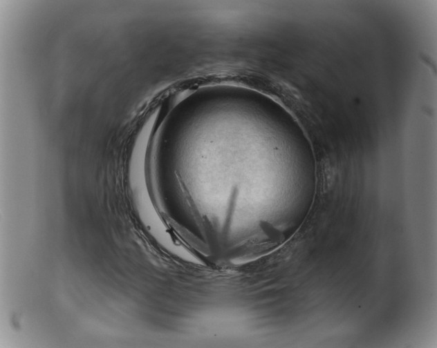 X0000099451158200805161015