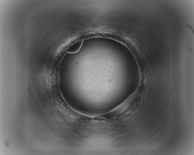 X0000099451159200805161015