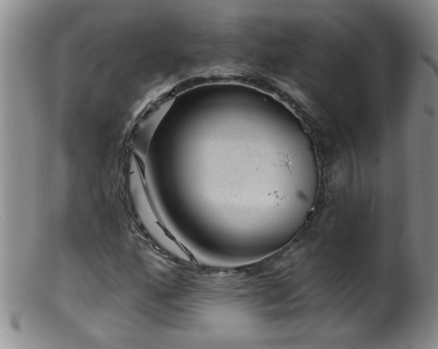 X0000099451160200805161015