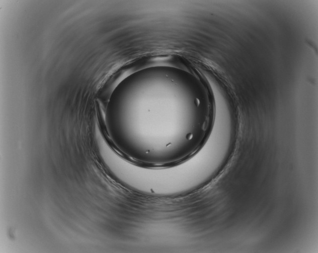 X0000099451161200805161015