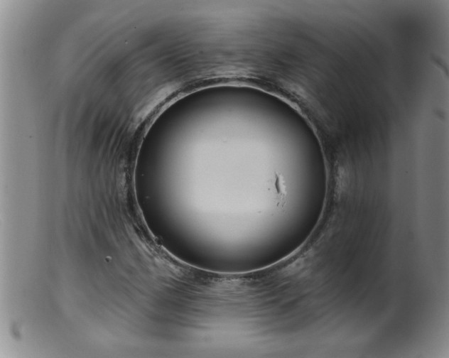 X0000099451162200805161015