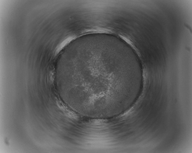 X0000099451163200805161015