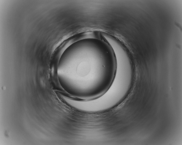 X0000099451165200805161015