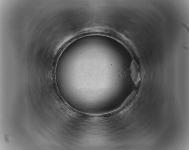 X0000099451166200805161015