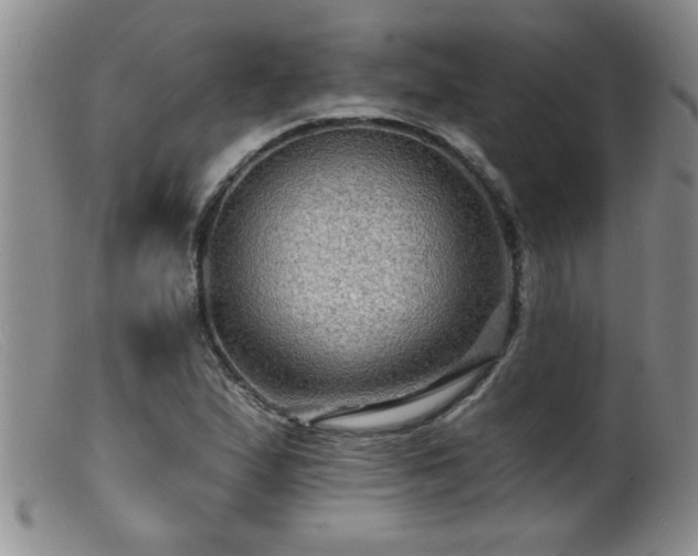 X0000099451167200805161015