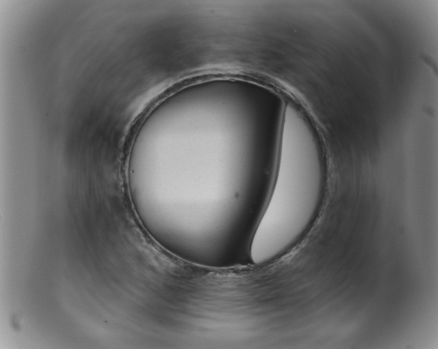 X0000099451168200805161015