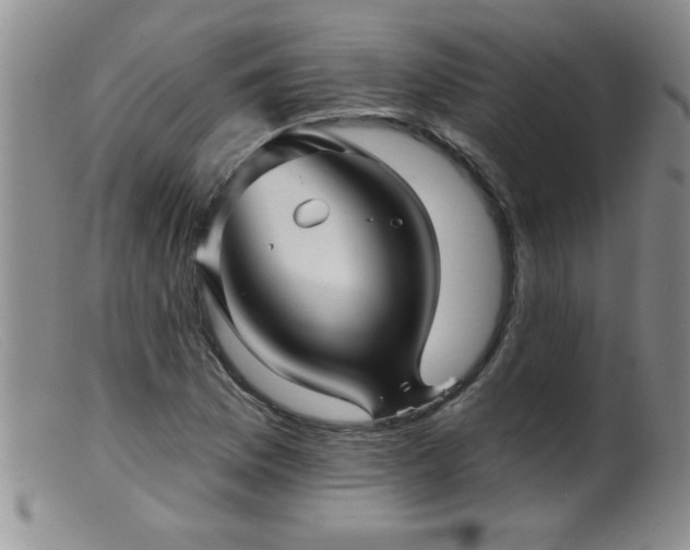 X0000099451169200805161015