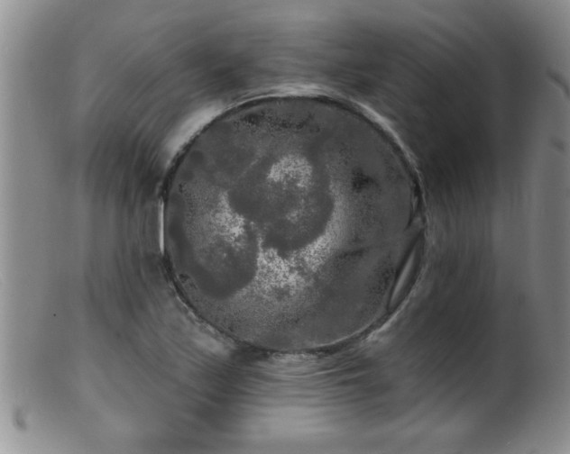 X0000099451171200805161015