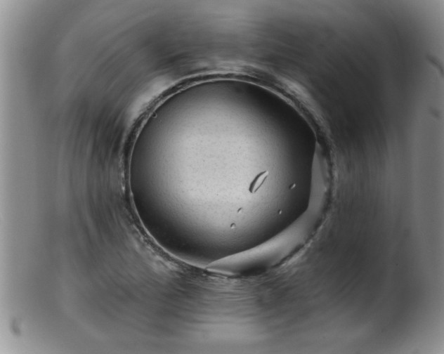 X0000099451172200805161015