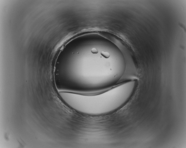 X0000099451173200805161015