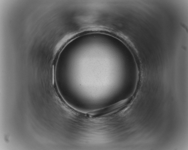 X0000099451175200805161015