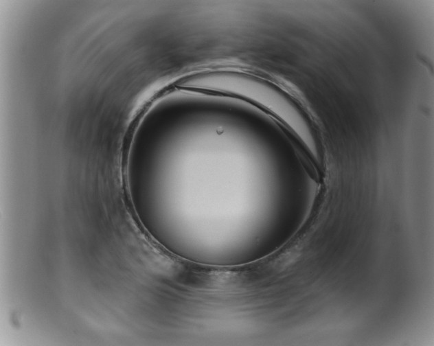 X0000099451176200805161015