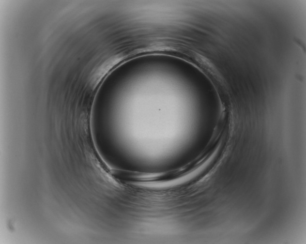 X0000099451177200805161015