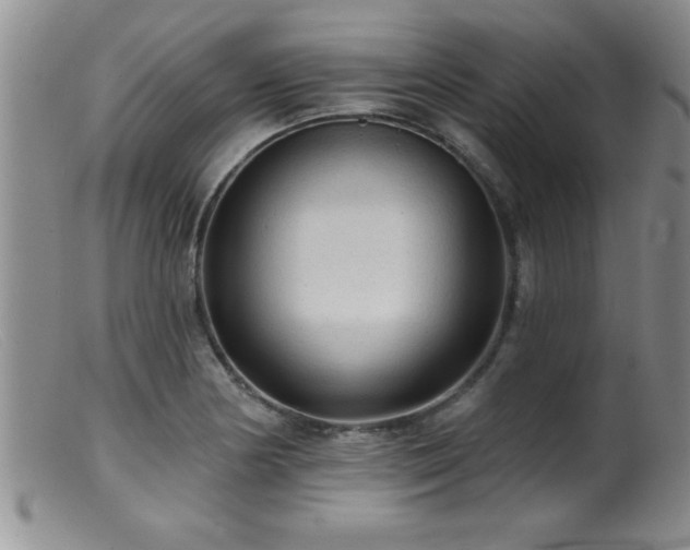 X0000099451178200805161015