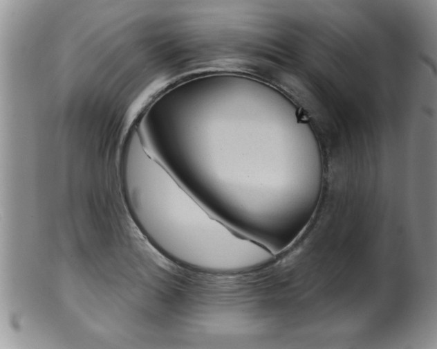 X0000099451180200805161015