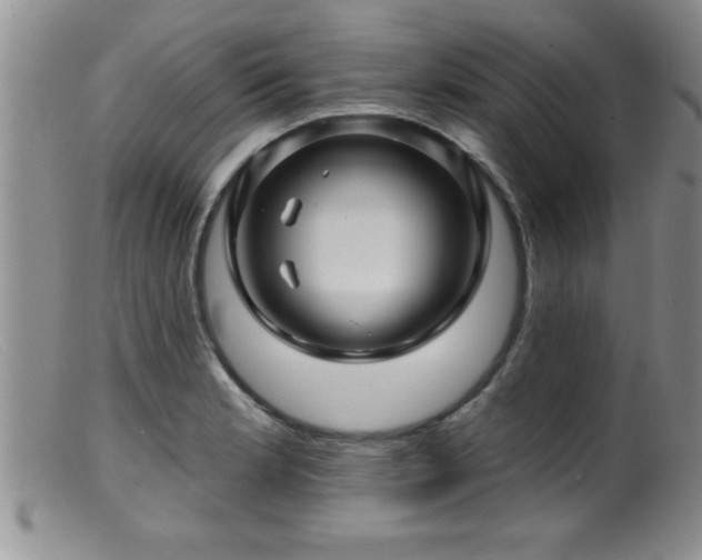 X0000099451181200805161015