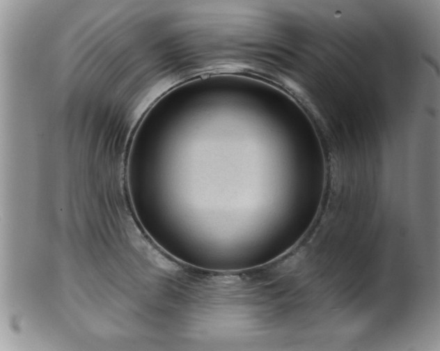 X0000099451186200805161015