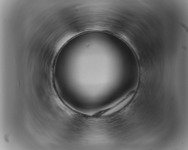 X0000099451187200805161015