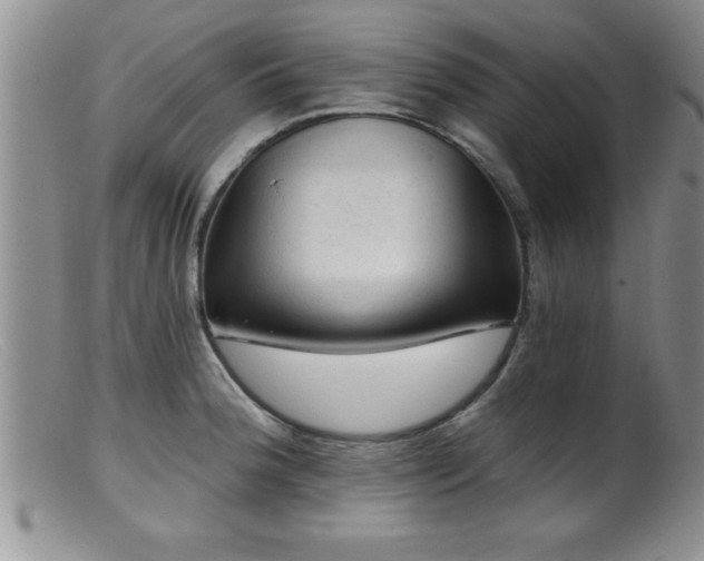 X0000099451188200805161014