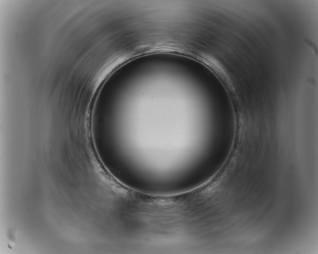 X0000099451190200805161014