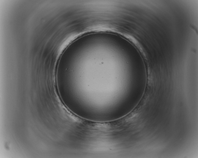 X0000099451191200805161014