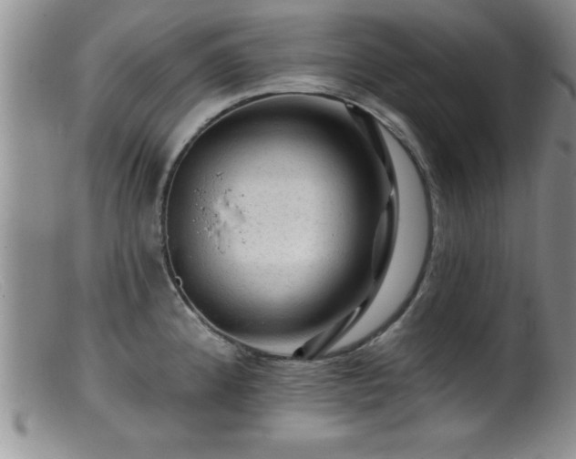 X0000099451192200805161014