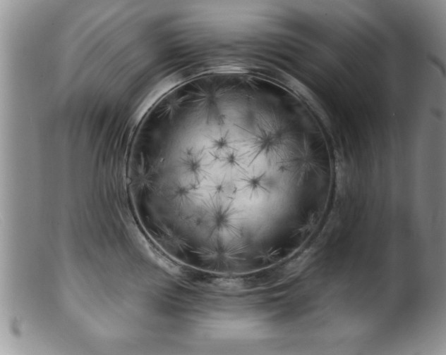 X0000099451194200805161014
