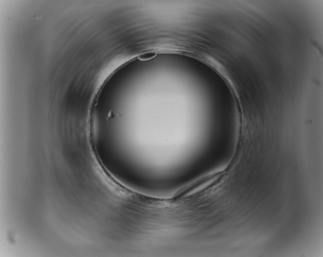 X0000099451195200805161014