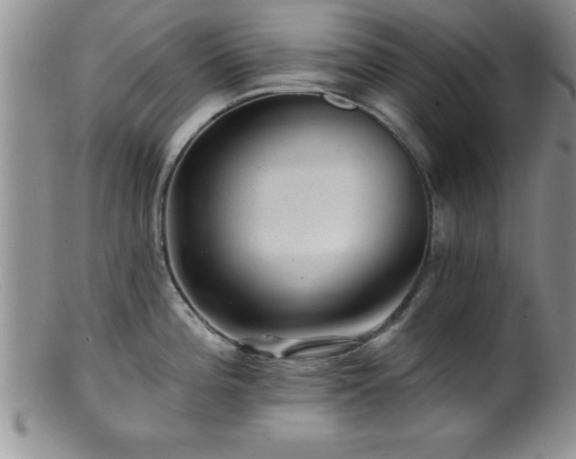 X0000099451196200805161014