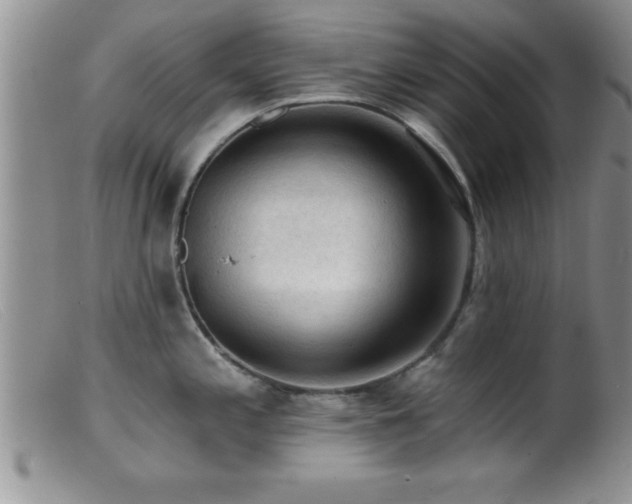 X0000099451197200805161014