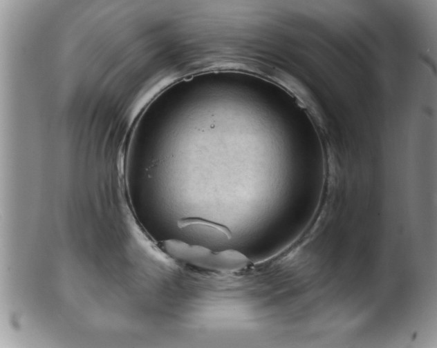 X0000099451198200805161014