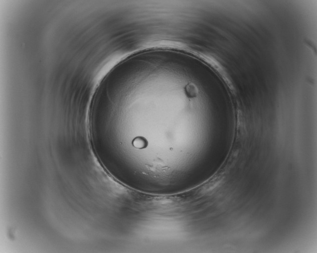 X0000099451199200805161014