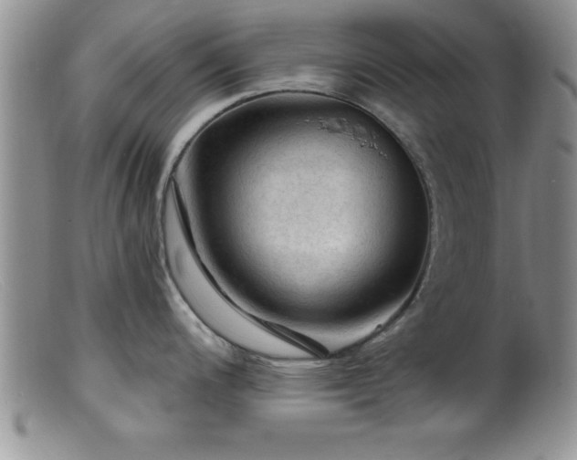 X0000099451200200805161014