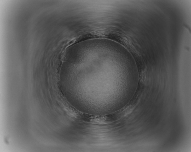 X0000099451201200805161014