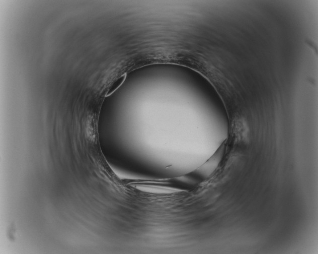 X0000099451202200805161014