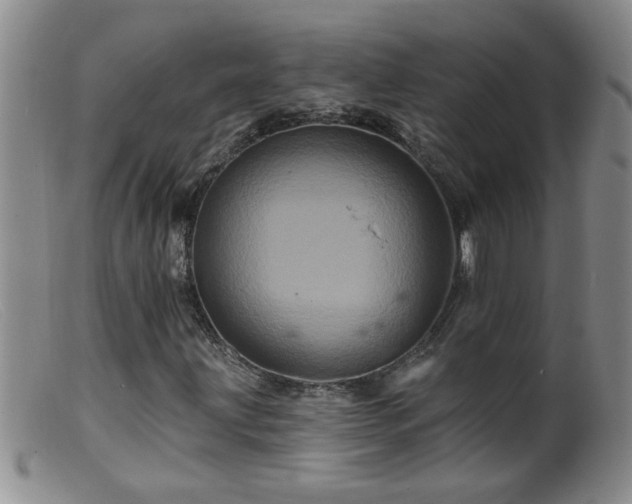 X0000099451203200805161014