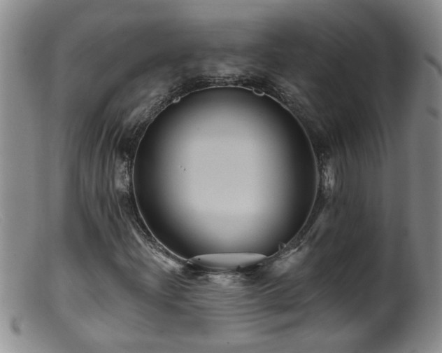 X0000099451204200805161014