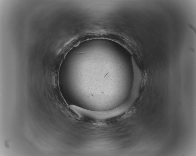 X0000099451205200805161014