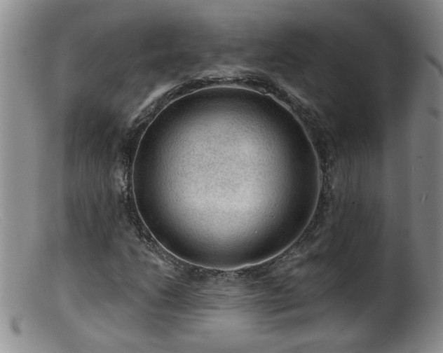 X0000099451206200805161014